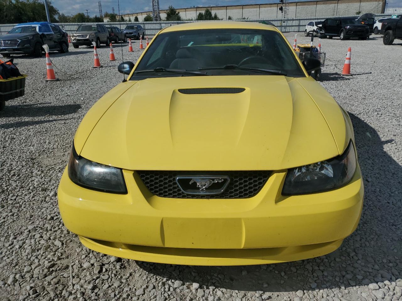 2001 Ford Mustang - Фото 5