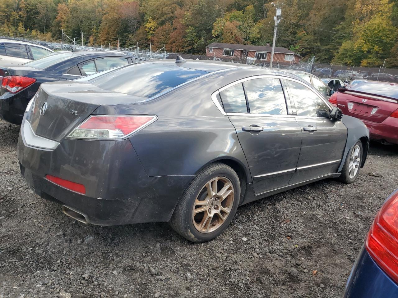 2009 Acura Tl - Фото 3