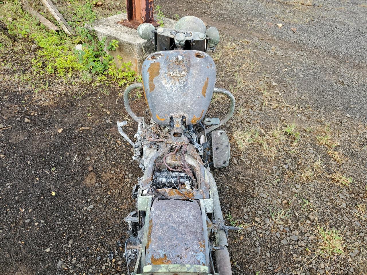 2004 Harley-Davidson Flstci - Image 6
