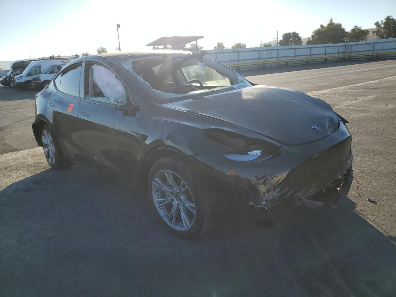 2023 Tesla Model Y - Фото 4