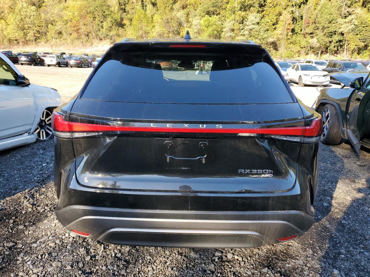 2025 Lexus Rx 350H Base - Фото 6