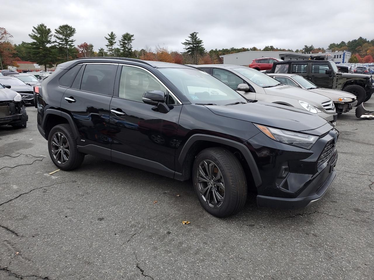 2024 Toyota Rav4 Hybrid Limited - Фото 4