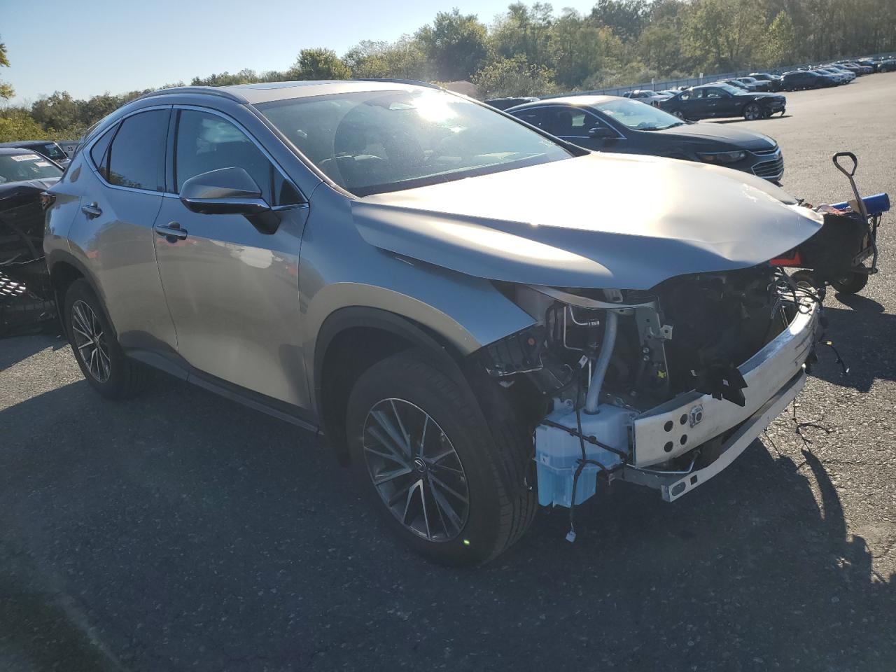 2024 Lexus Nx 350 Premium - Фото 4