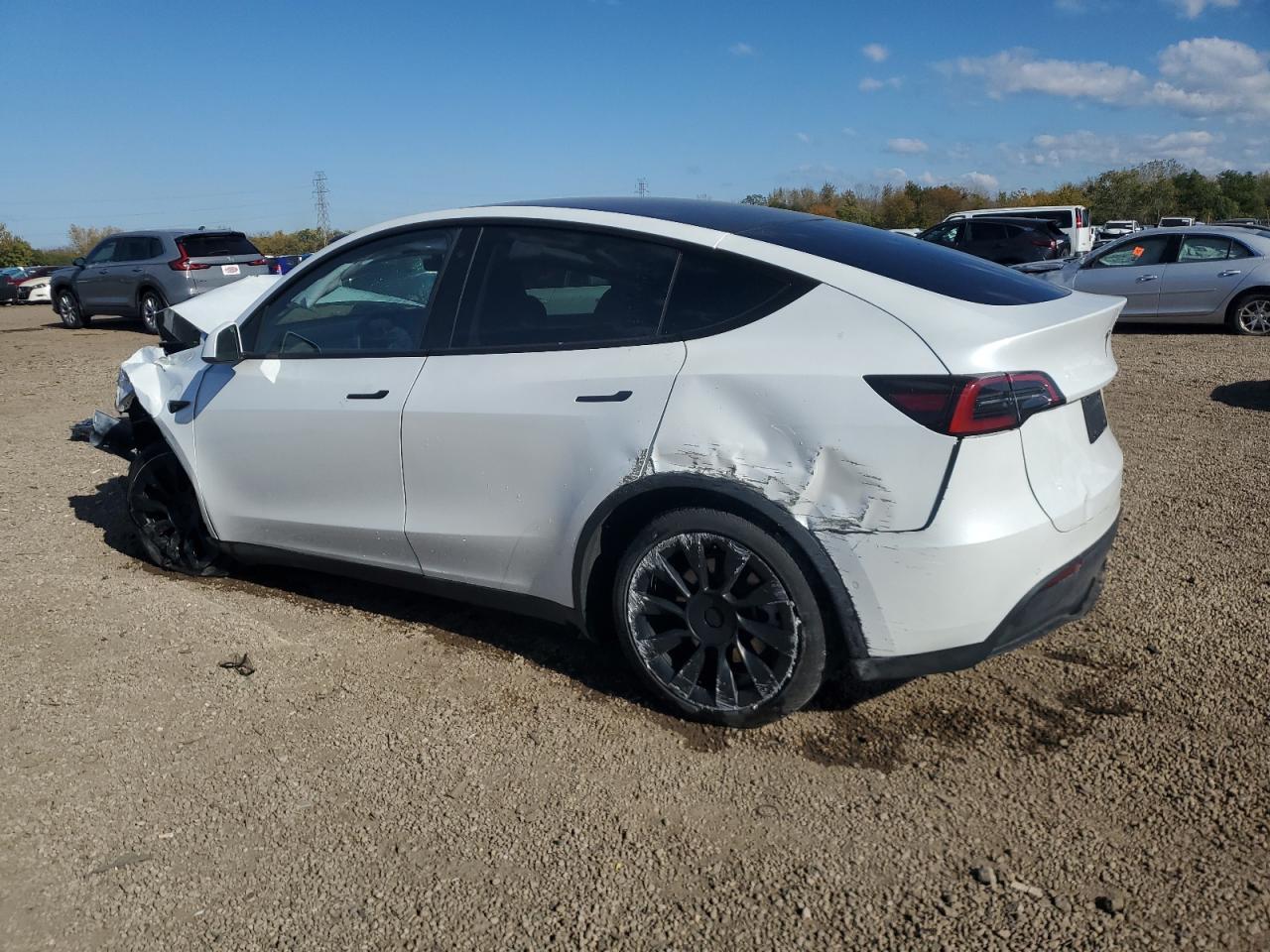 2022 Tesla Model Y - Фото 2