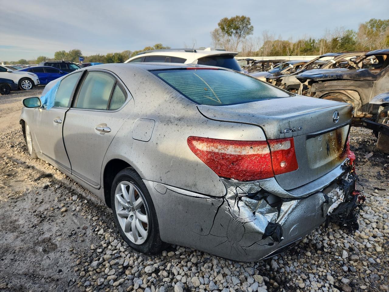 2009 Lexus Ls 460 - Image 2