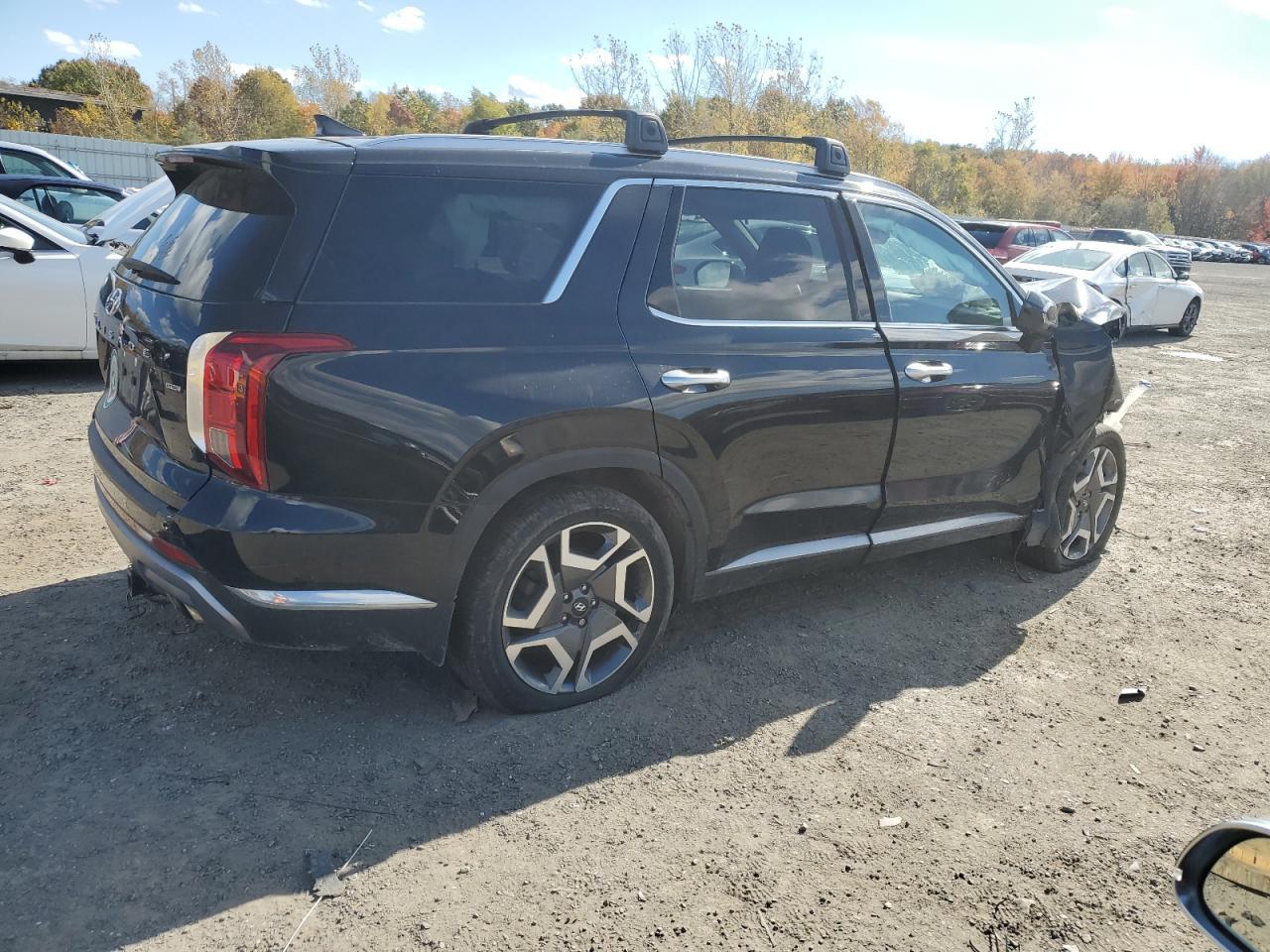 2023 Hyundai Palisade Limited - Image 3