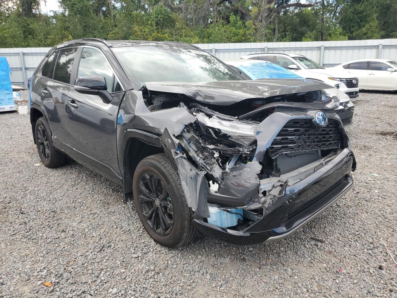 2024 Toyota Rav4 Xse - Фото 4