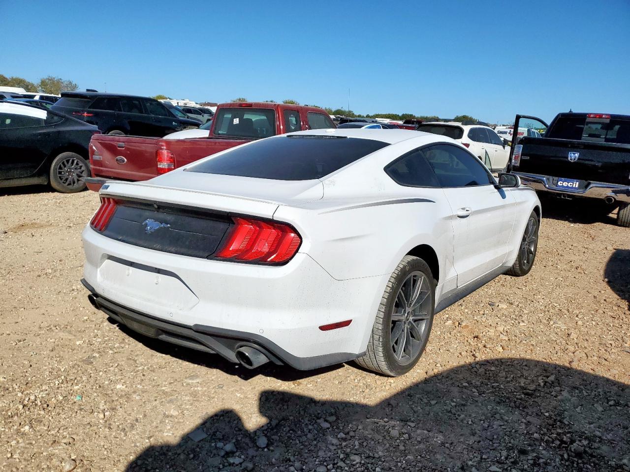 2019 Ford Mustang - Фото 3
