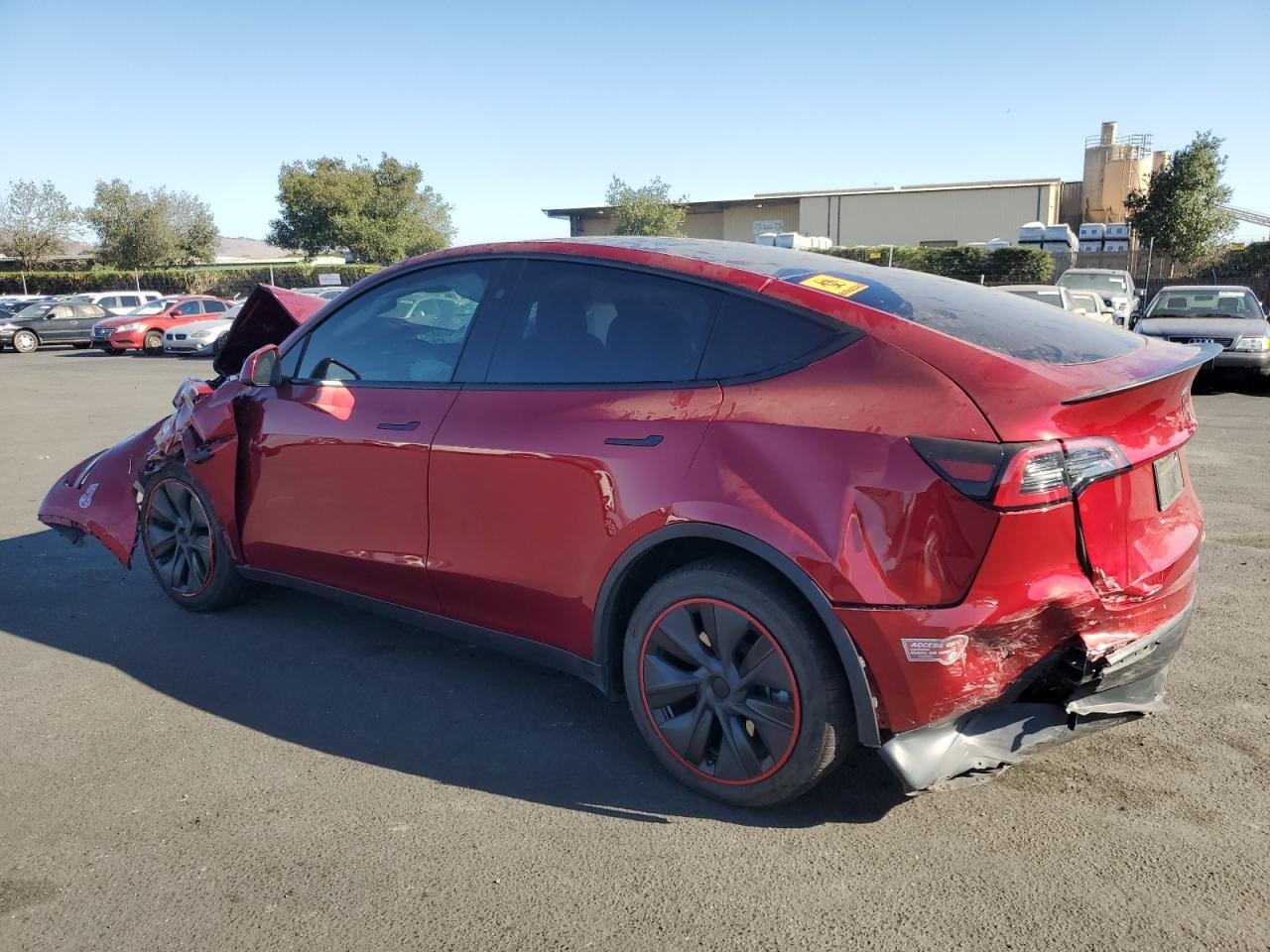 2024 Tesla Model Y - Фото 2