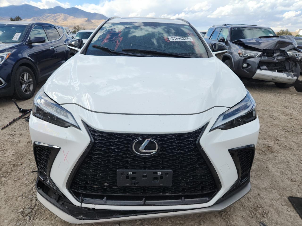 2024 Lexus Nx 350 Luxury - Фото 5