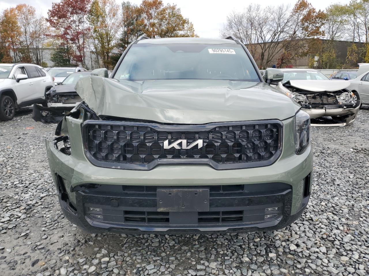2024 Kia Telluride Sx - Фото 5