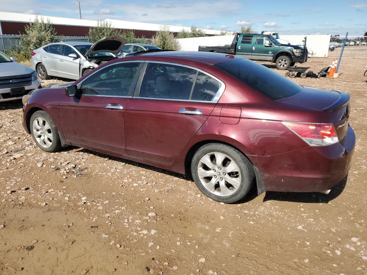 2009 Honda Accord Exl - Фото 2