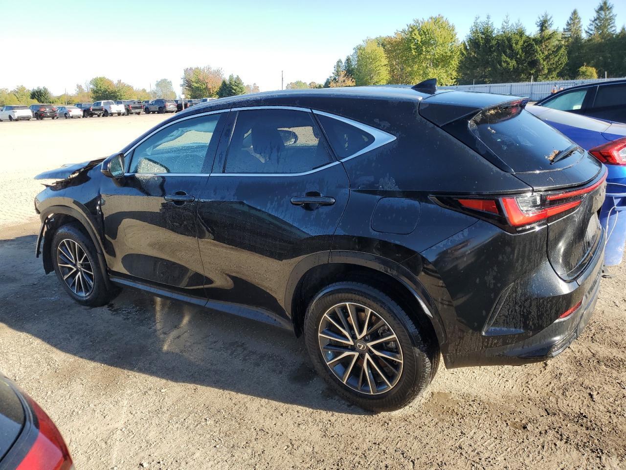 2025 Lexus Nx 350H Base - Фото 2