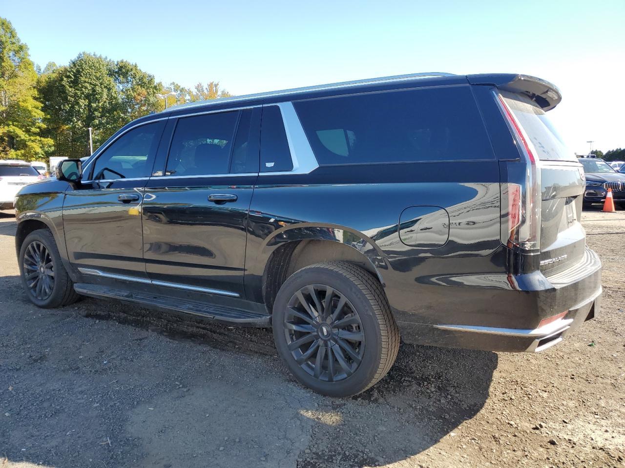 2021 Cadillac Escalade Esv Premium Luxury - Фото 2
