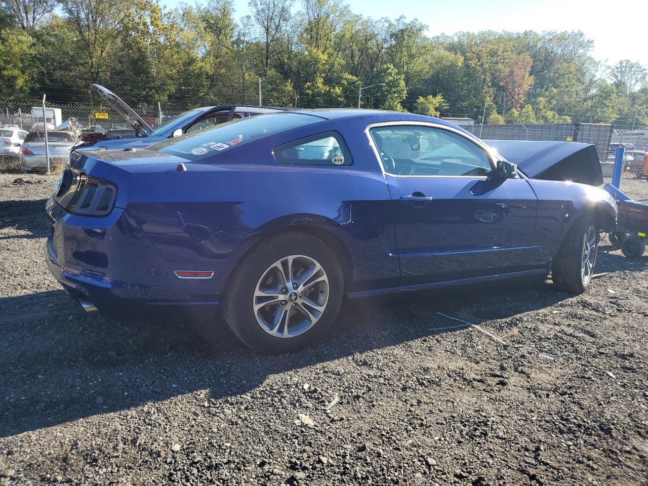 2014 Ford Mustang - Фото 3