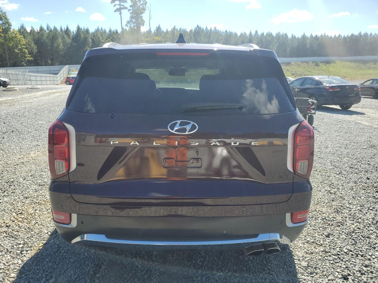 2022 Hyundai Palisade Limited - Фото 6