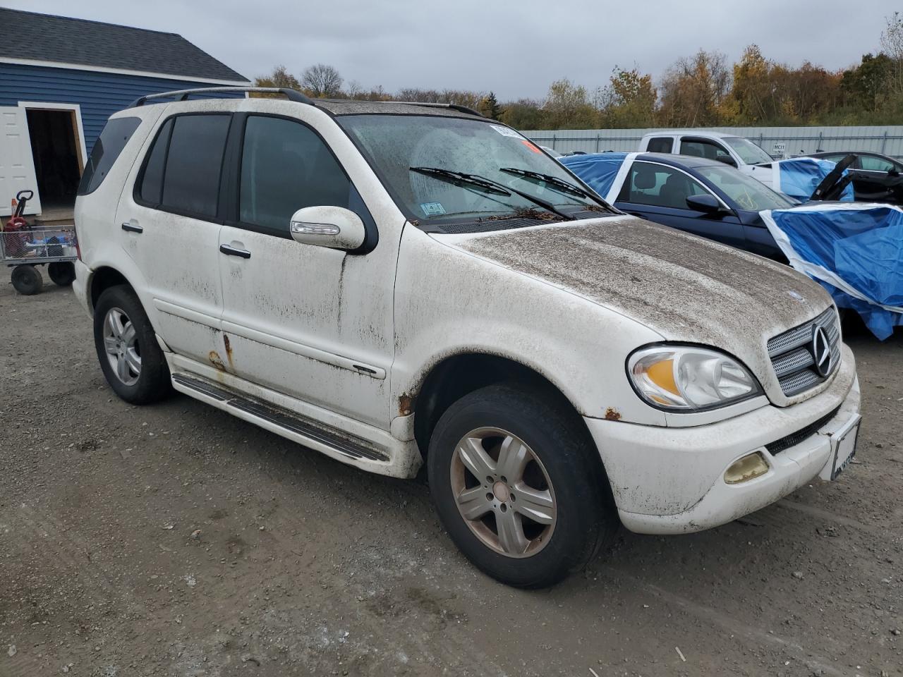 2005 Mercedes-Benz Ml 350 - Фото 4