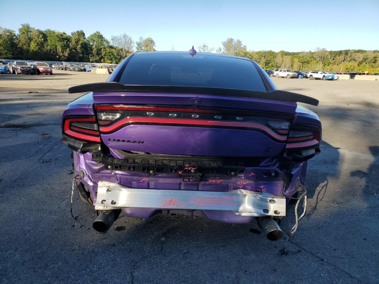 2023 Dodge Charger Scat Pack - Фото 6