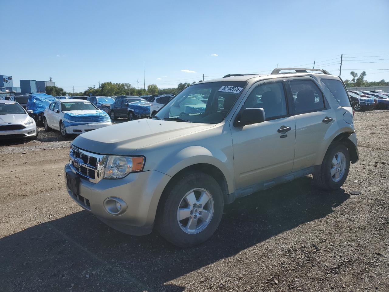 2010 Ford Escape Xlt