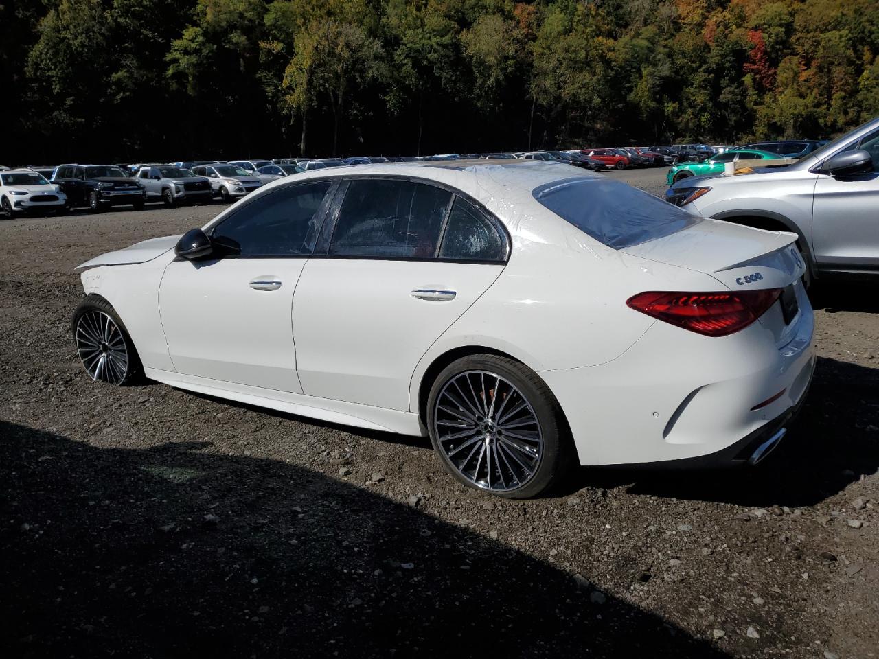 2024 Mercedes-Benz C 300 - Фото 2