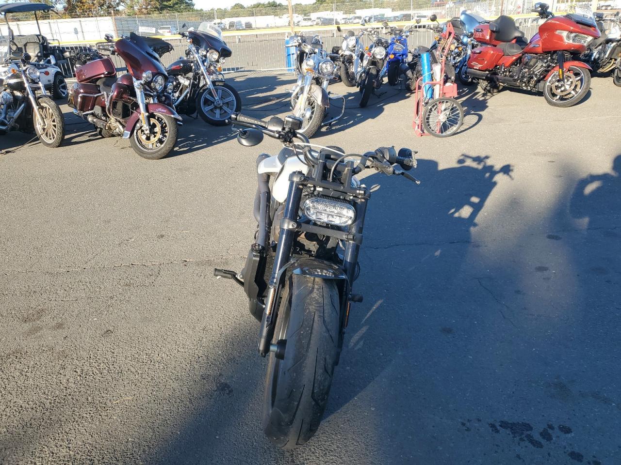 2024 Harley-Davidson Rh1250 S - Фото 2