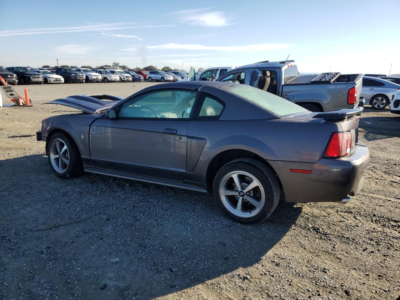 2003 Ford Mustang Mach I - Фото 2