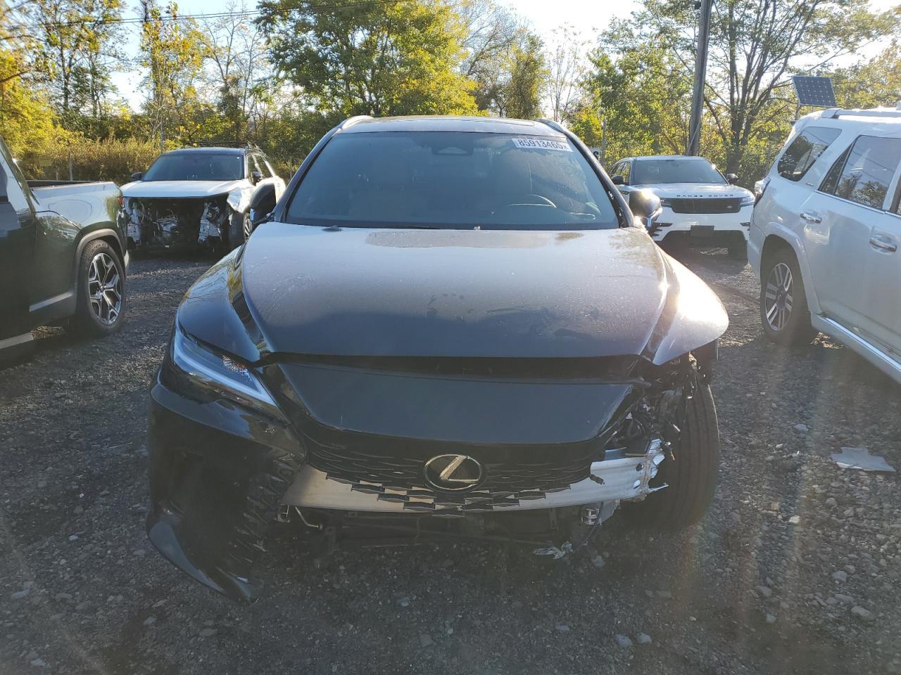 2025 Lexus Rx 350H Base - Фото 5