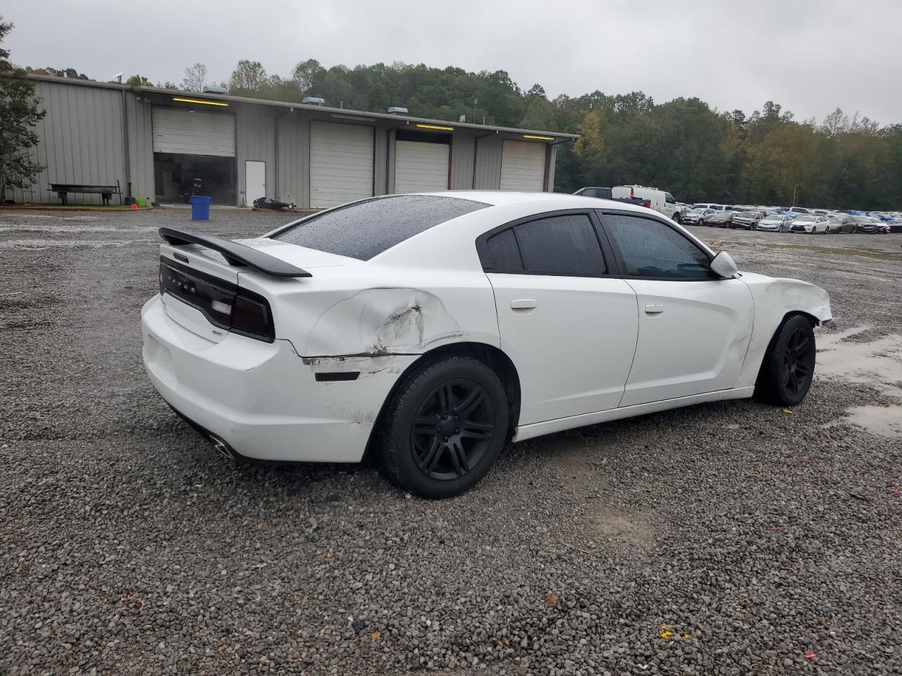 2014 Dodge Charger Se - Фото 3