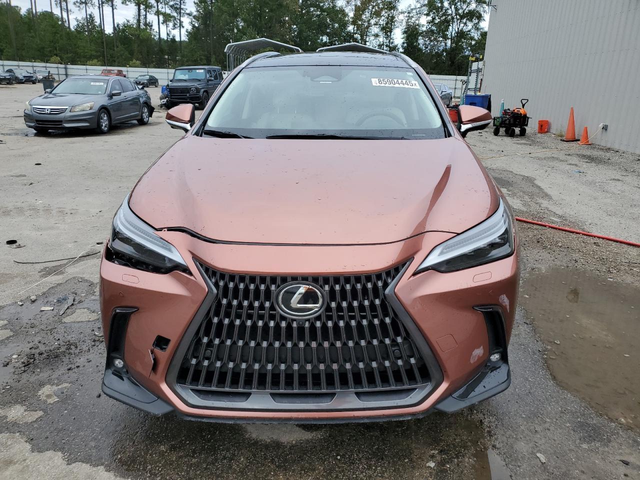 2025 Lexus Nx 450H Luxury - Фото 5