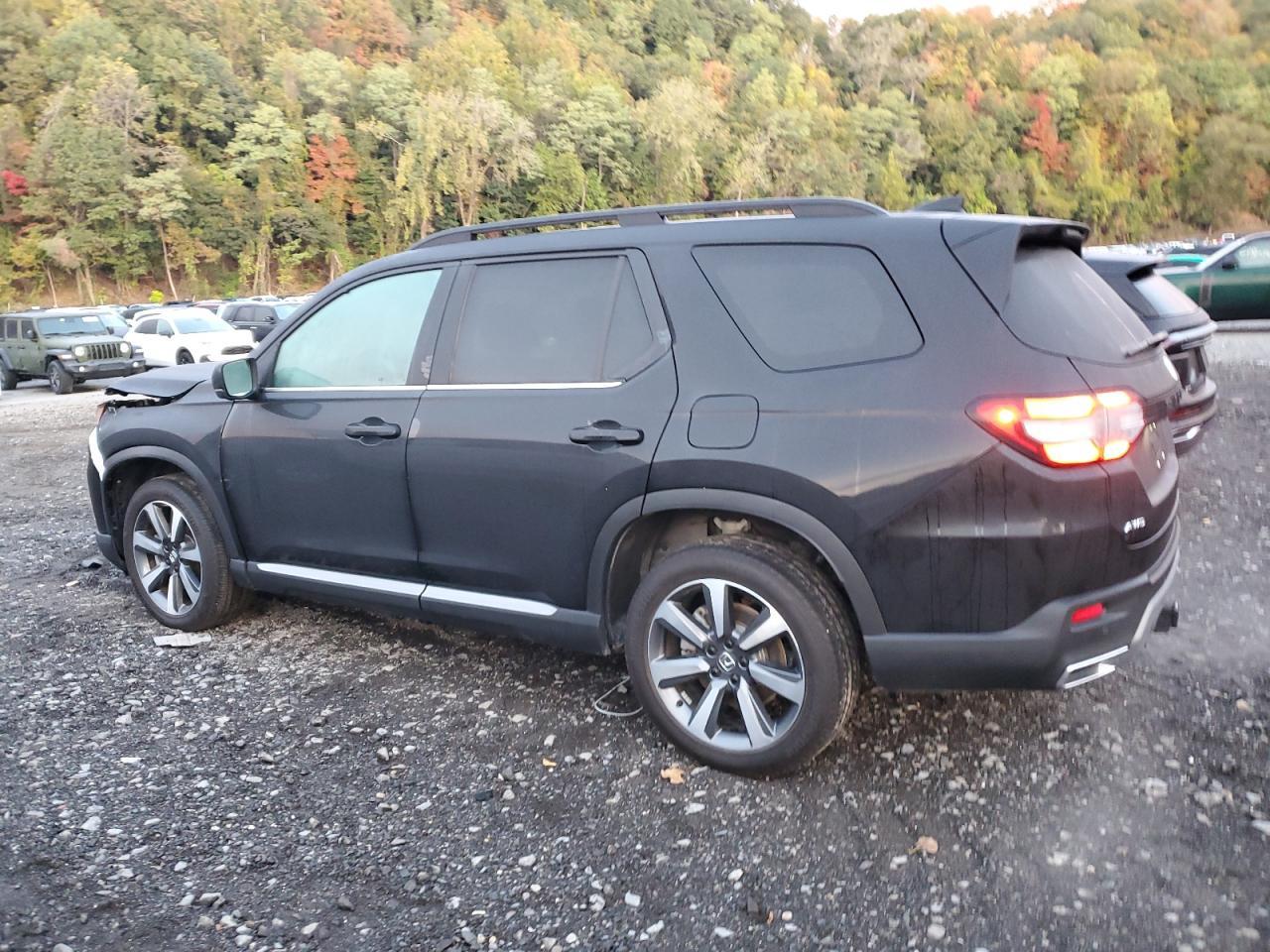 2025 Honda Pilot Elite - Фото 2