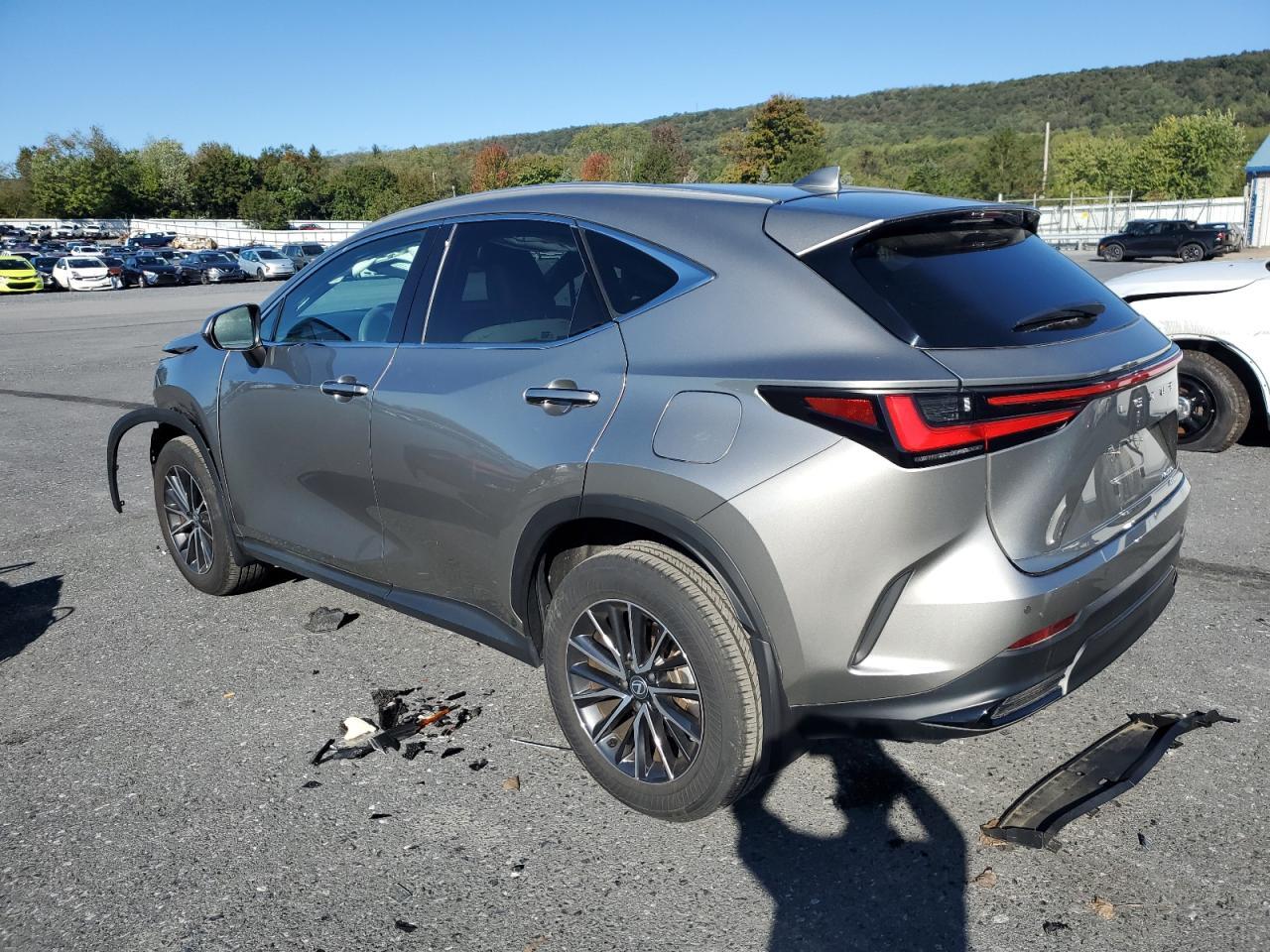 2024 Lexus Nx 350 Premium - Фото 2