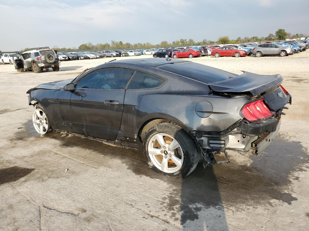 2019 Ford Mustang - Фото 2