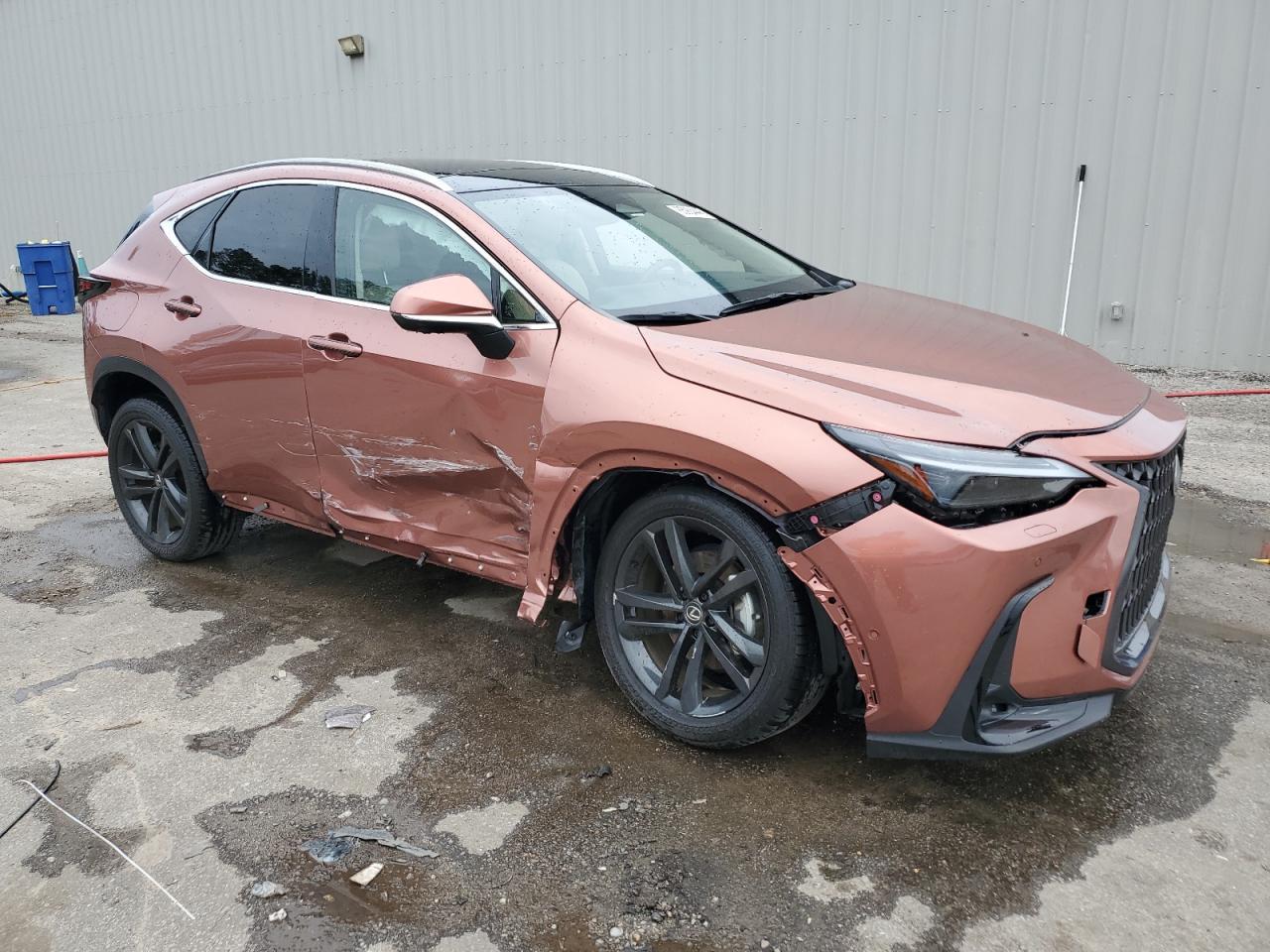 2025 Lexus Nx 450H Luxury - Фото 4