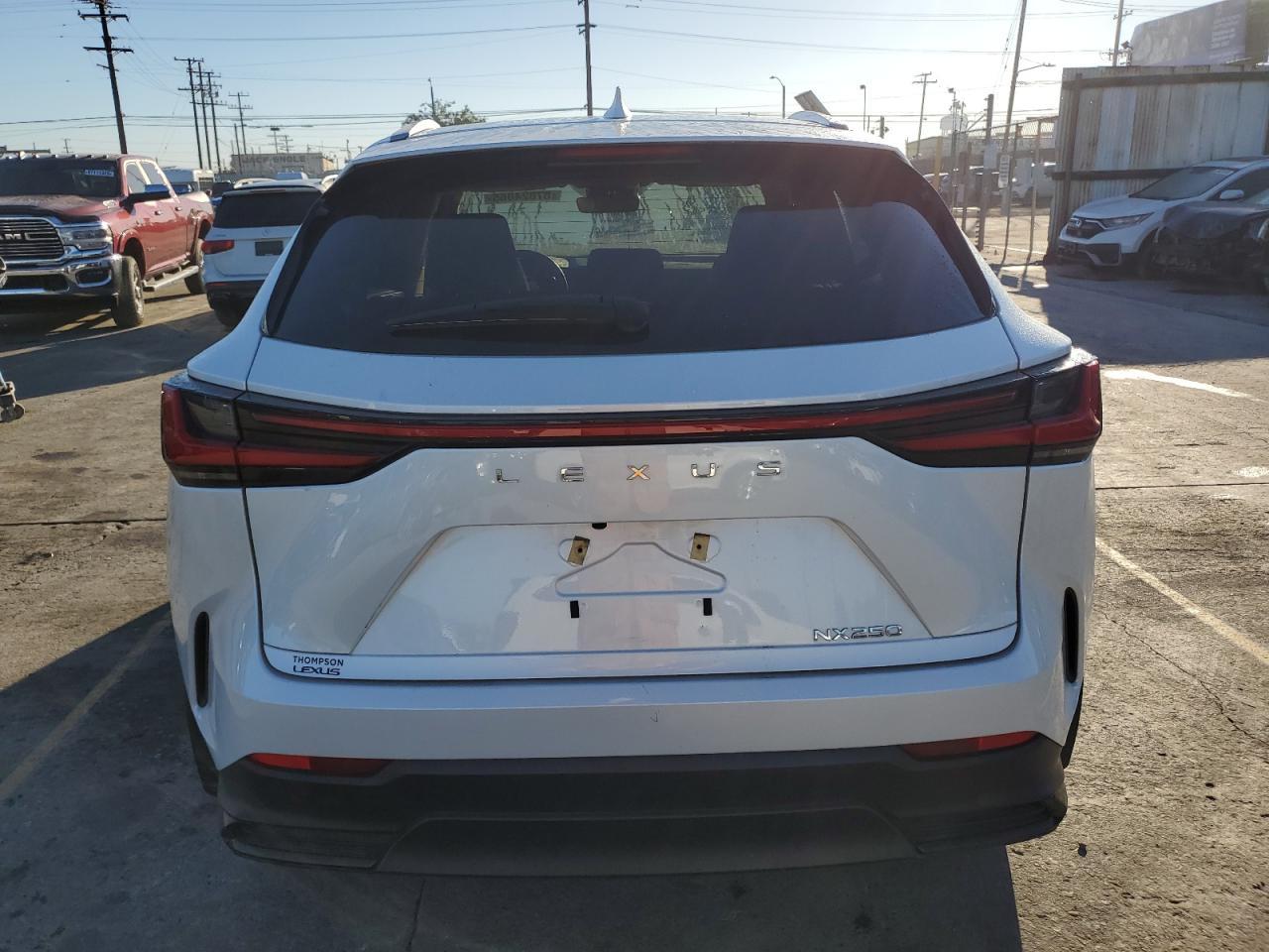 2024 Lexus Nx 250 Base - Фото 6