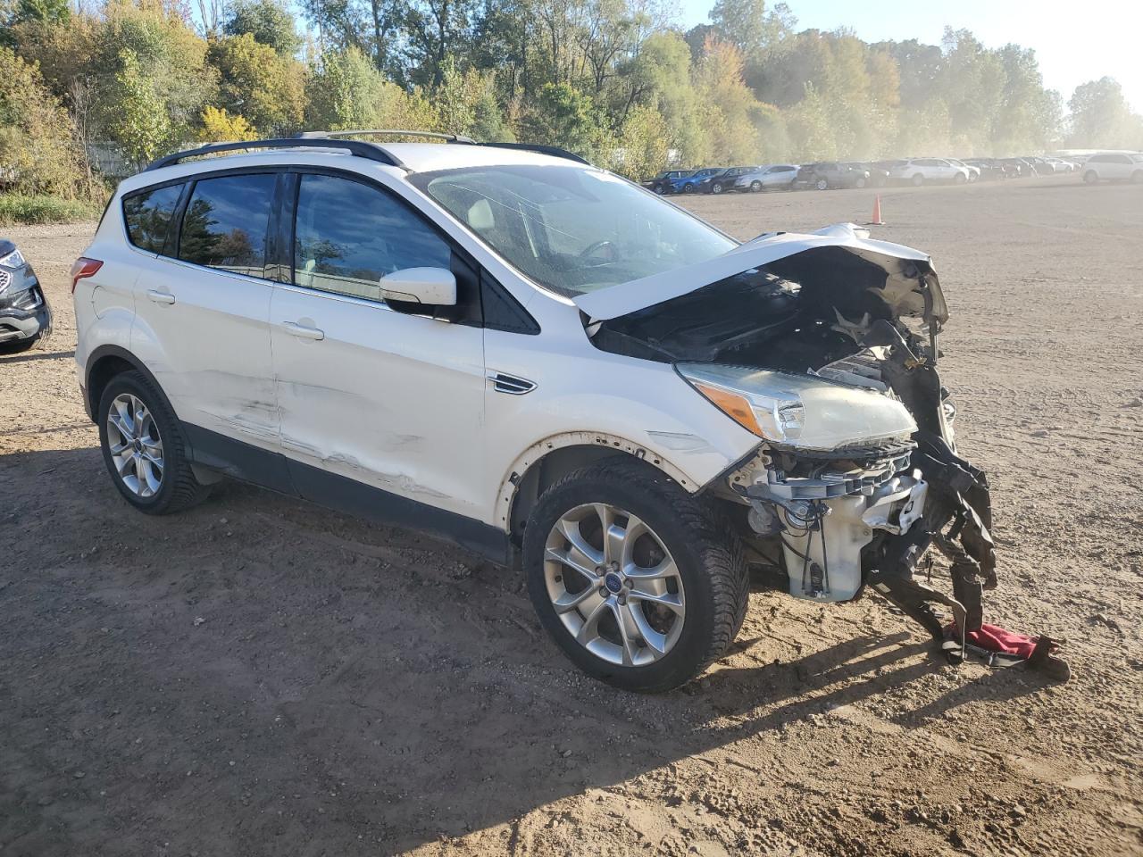 2013 Ford Escape Sel - Фото 4