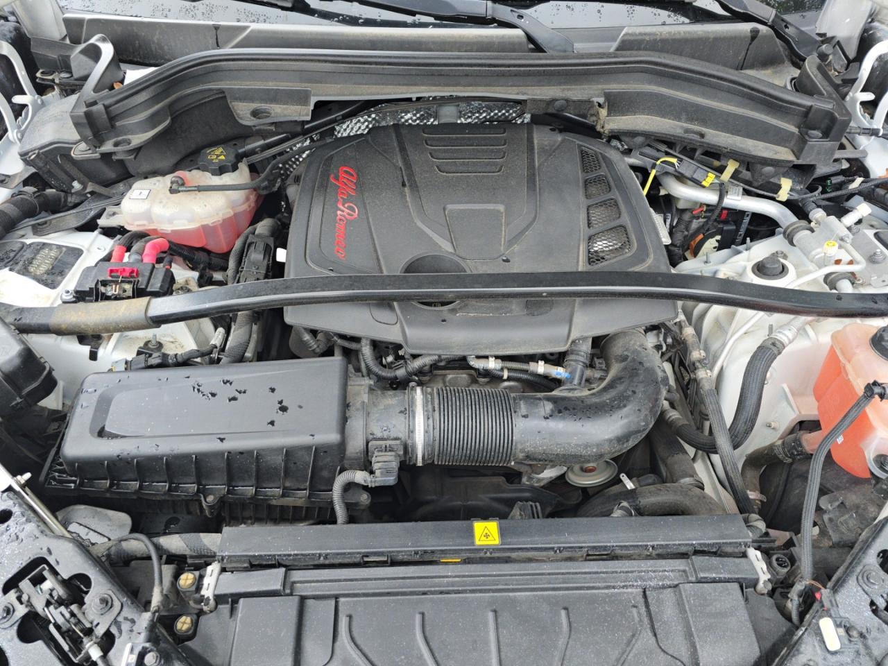 2019 Alfa Romeo Stelvio - Image 7