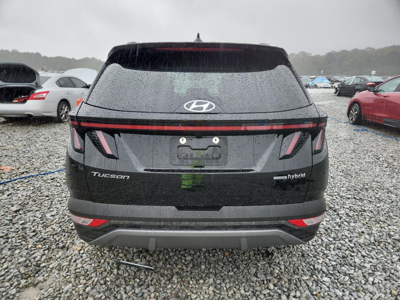 2024 Hyundai Tucson Hybrid Limited - Фото 6