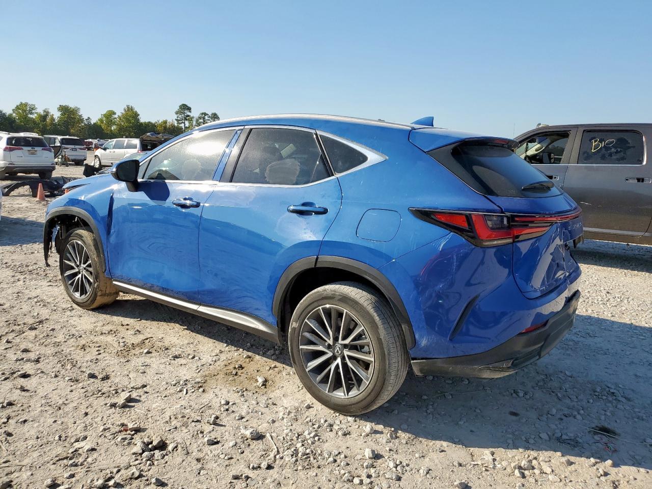 2025 Lexus Nx 250 Premium - Фото 2