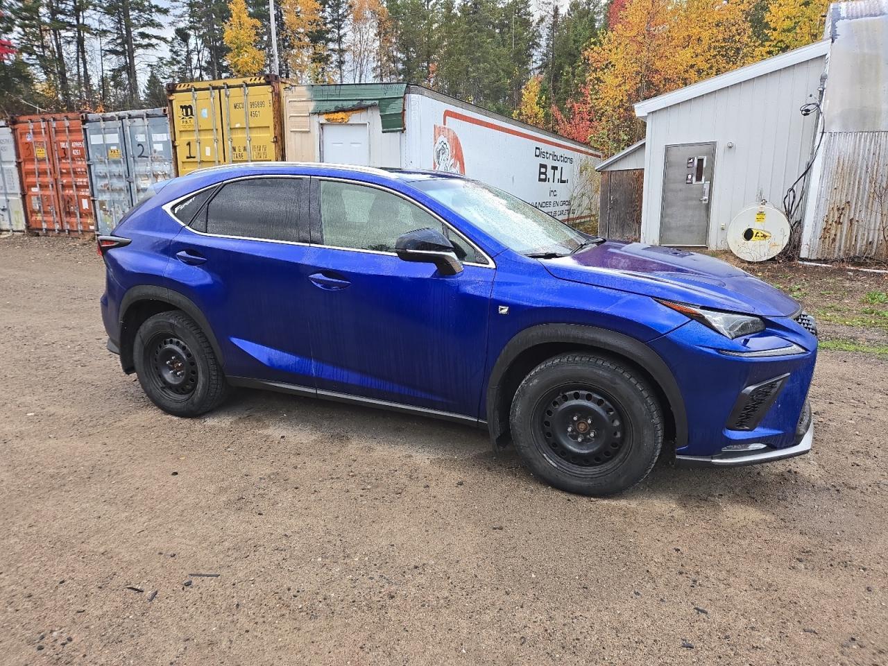 2019 Lexus Nx 300 Base - Фото 4