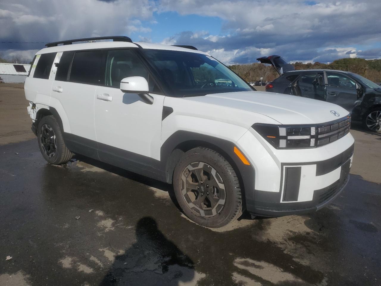 2025 Hyundai Santa Fe Sel - Фото 4