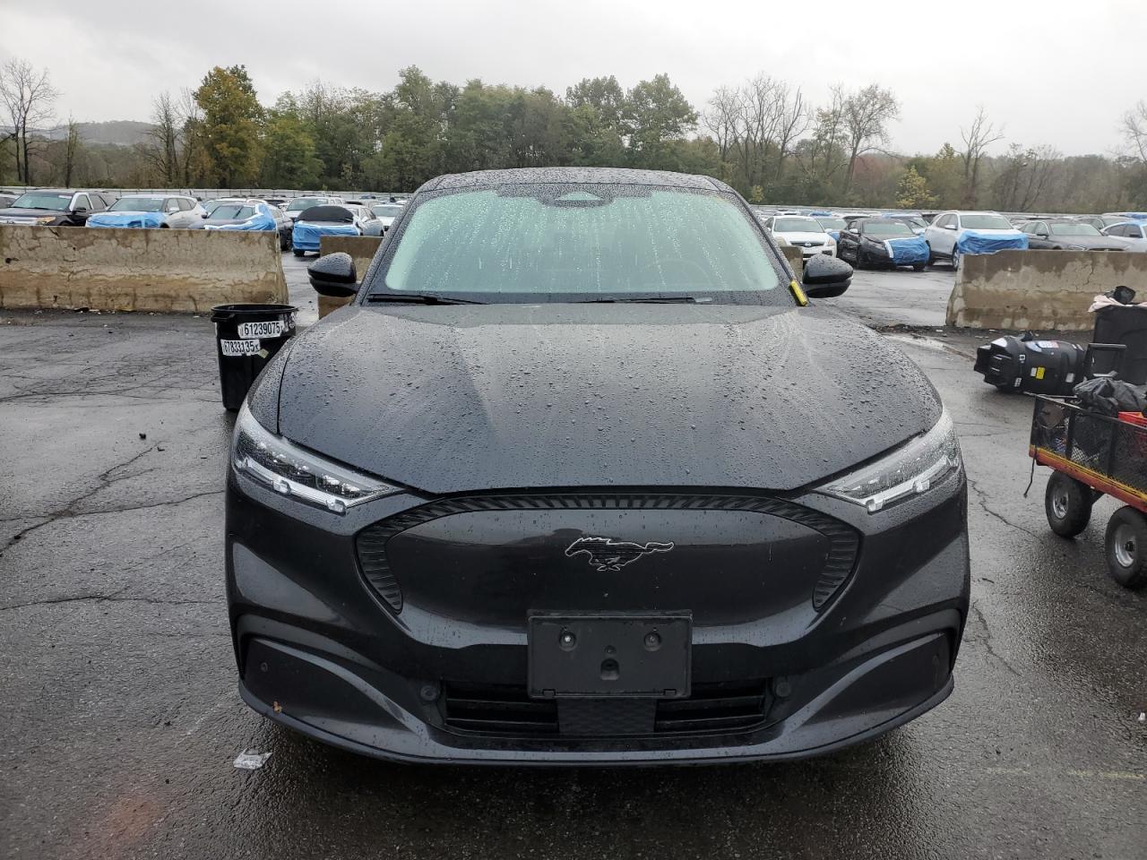 2022 Ford Mustang Mach-E Select - Image 5