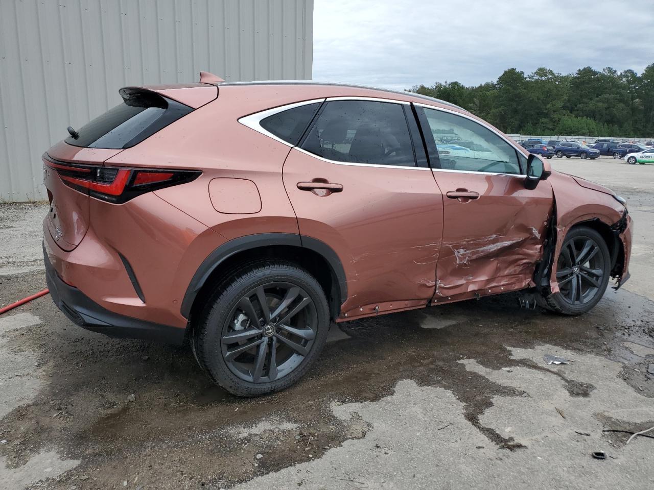 2025 Lexus Nx 450H Luxury - Фото 3