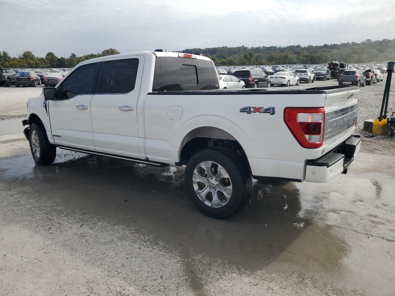 2023 Ford F150 Supercrew - Фото 2