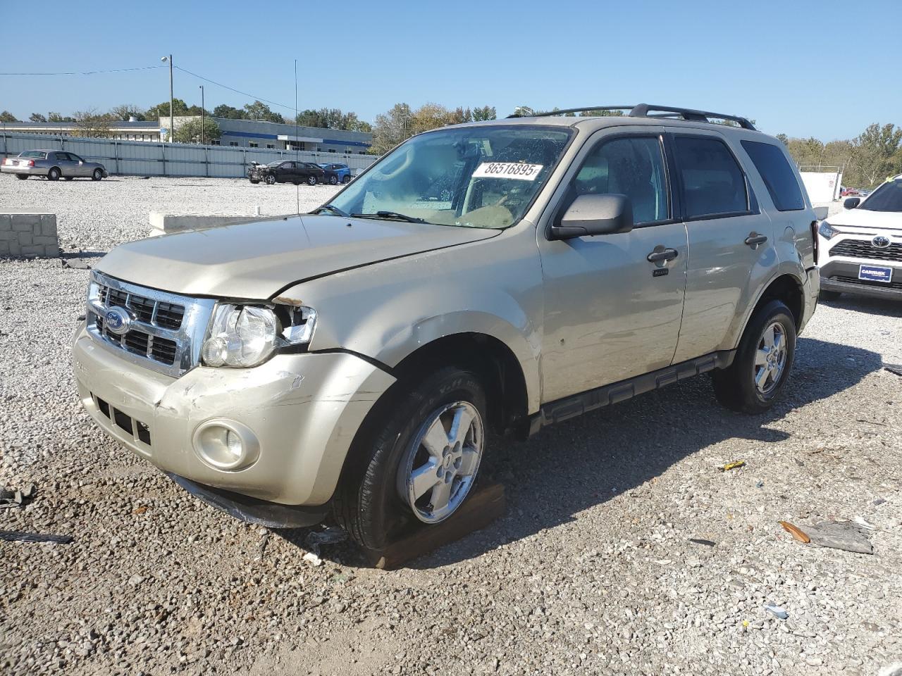 2011 Ford Escape Xlt