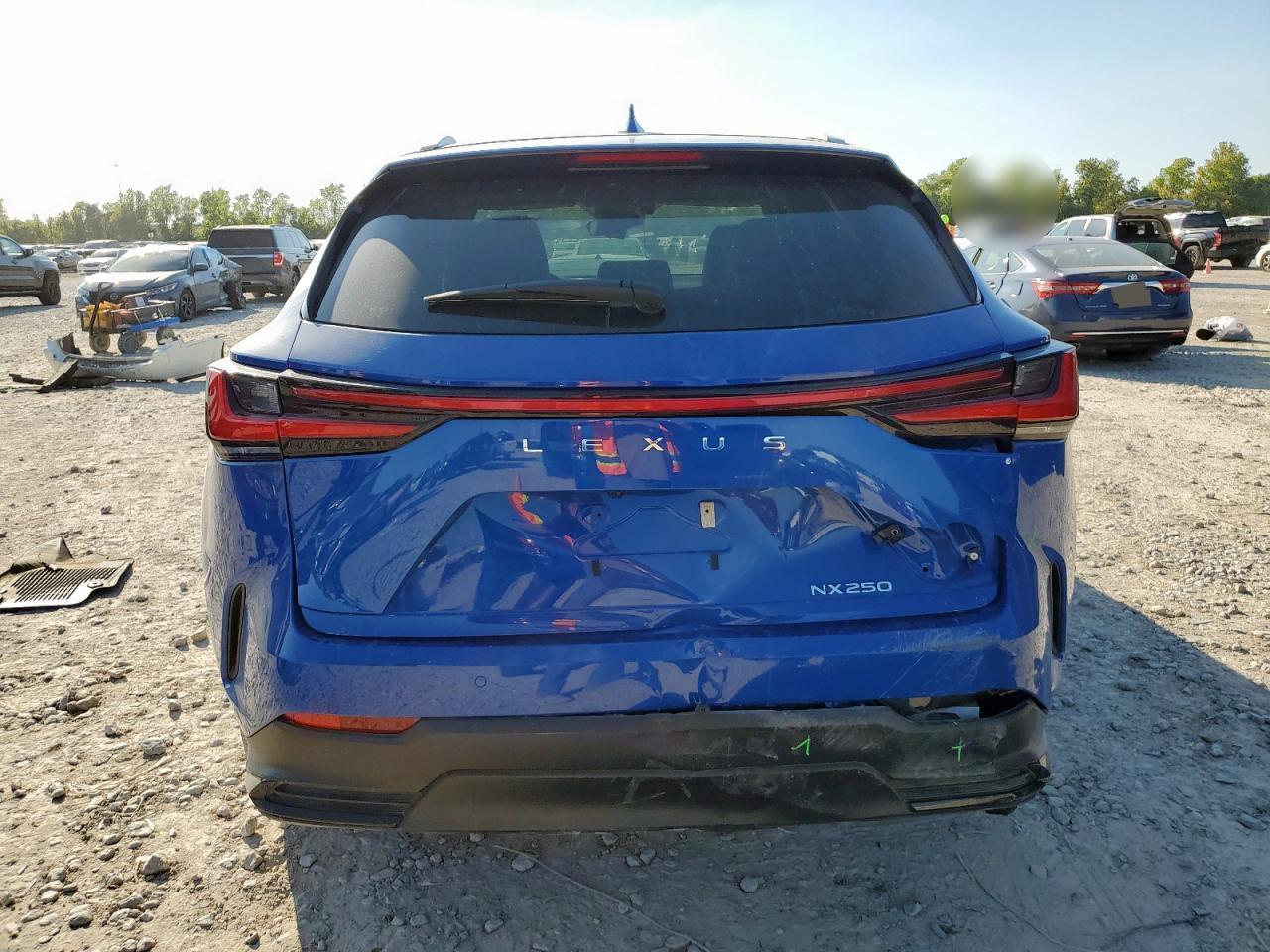 2025 Lexus Nx 250 Premium - Фото 6