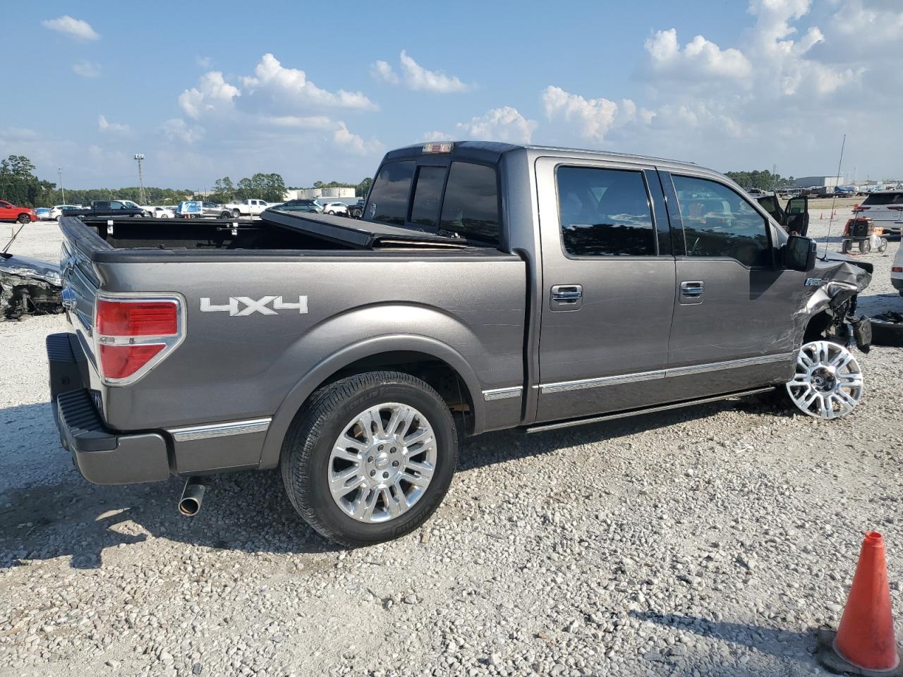 2010 Ford F150 Supercrew - Фото 3