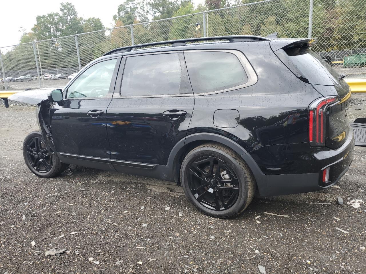 2025 Kia Telluride Sx - Image 2