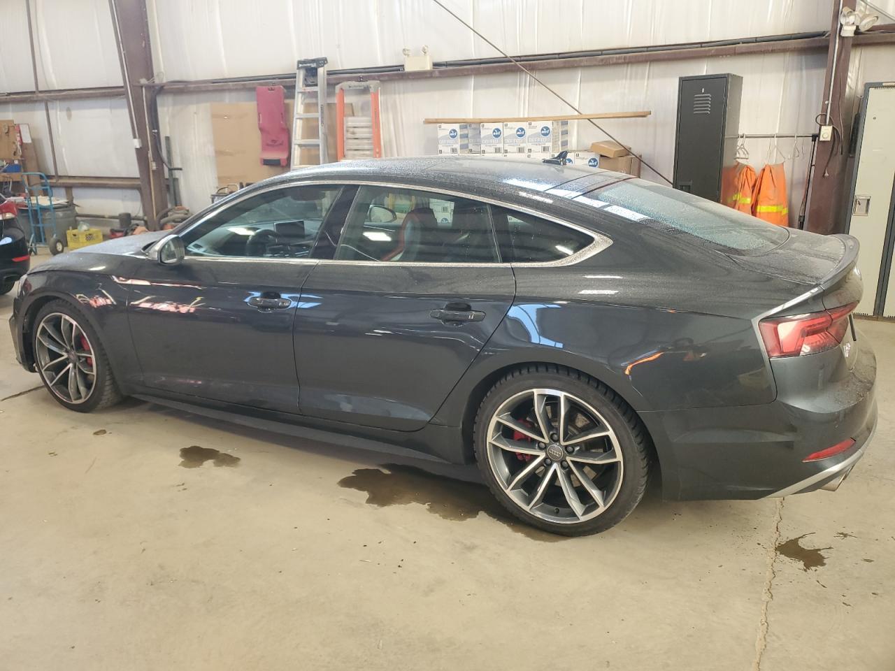 2019 Audi S5 Prestige - Фото 2
