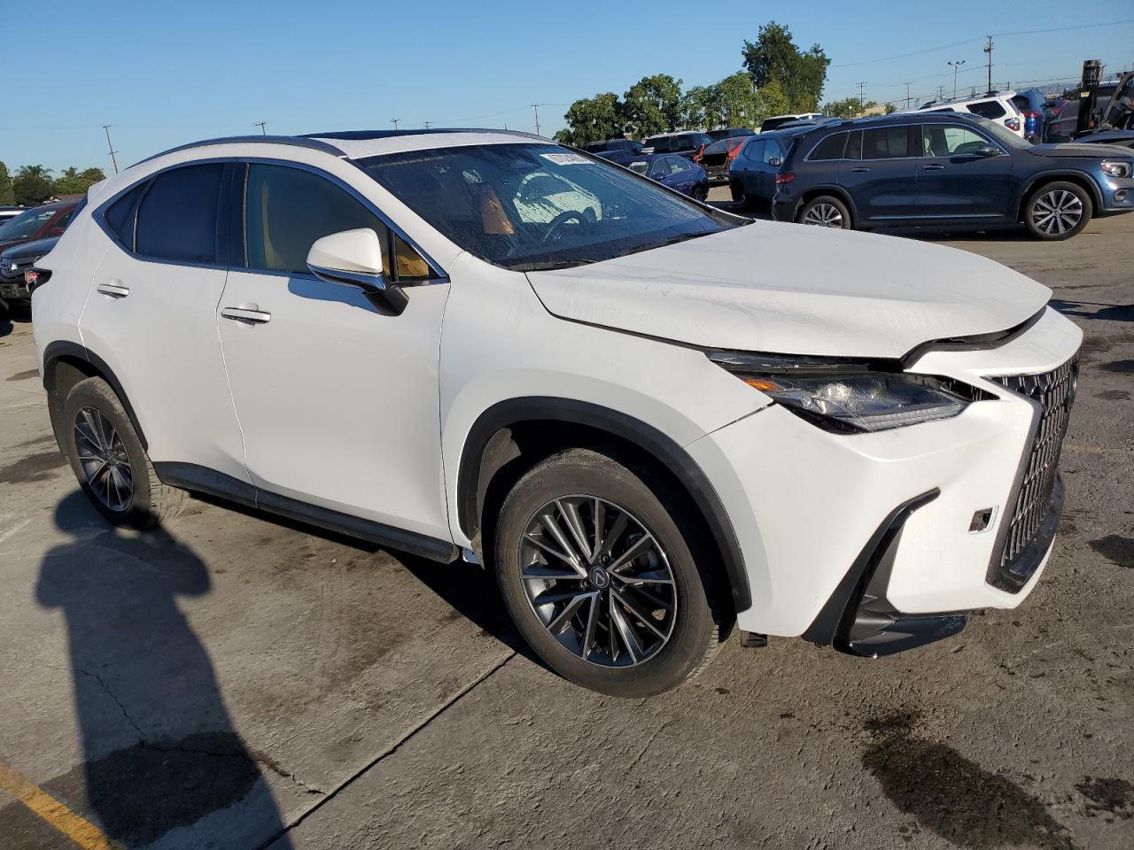 2024 Lexus Nx 250 Base - Фото 4