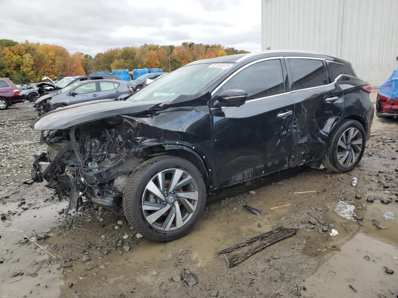 2015 Nissan Murano Platinum